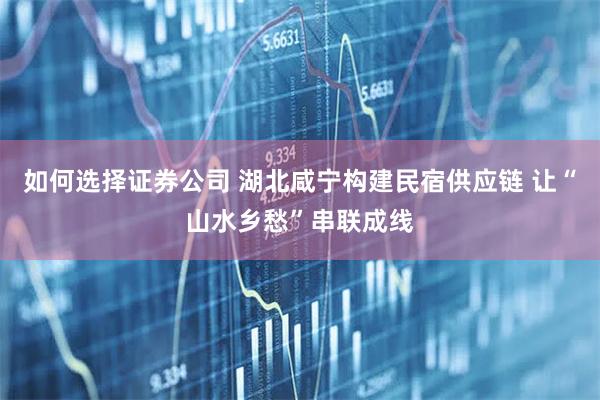 如何选择证券公司 湖北咸宁构建民宿供应链 让“山水乡愁”串联成线
